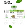 Wild Yam Root Extract - 365 Capsules - Original Mexican
