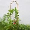 3 Feet Natural U-Hoops Bamboo, Plant Trellis, 35.5in Garden Trellis