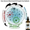 Ammuri Organic Black Seed Oil for Radiant Skin