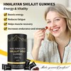 Shilajit Gummies, Pure Himalayan Shilajit Gummies Gold, No Added Sugar