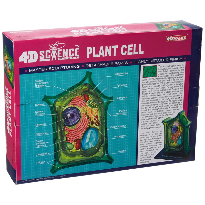 Famemaster 4D-Science Plant Cell Anatomy Model