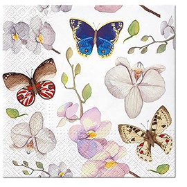 20 Napkins Butterflies on Orchids Animals Animal Motif Spring Summer Easter Table Decoration 33 x 33 cm