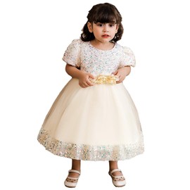 Puffy Tulle Baby Girl Formal Dress for Party Baptism Ceremony Photoshoot Wedding Flower Girls Dress (Champagne, 3-6 Months)