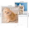 2025 Cuddly Kittens Mini Wall Calendar
