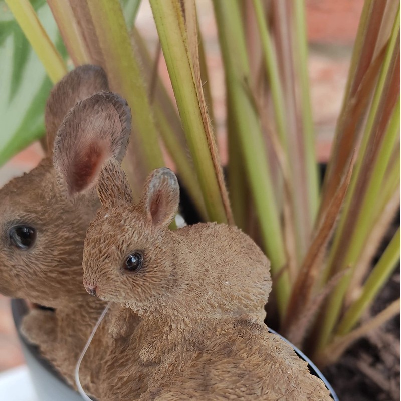 Vivid Arts Plant-Pals (Mother/Baby Rabbit)