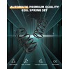 AUTOMUTO 2PCS Rear Suspension Coil Spring Set Compatible with 2007-2017