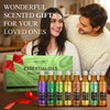 Essential Oils Roll On Set (Pack of 8) 8 Scent,