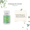 Cord Yceps CS-4 Extract (Caterpillar) – 5000 mg (provides 40%