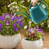 Fasmov 1-Gallon Plastic Watering Can with Comfortable Handle, Garden Watering