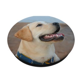 Yellow Labrador Retriever Face Smiling Lab Dog PopSockets PopGrip: Swappable Grip for Phones & Tablets