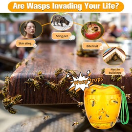 JNKNT Wasp Trap, Yellow Jacket Trap Outdoor Hanging, Non-Toxic Reusable Hornet and Wasp Catcher Traps for Outside, 2 Pack - Orange