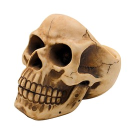 Dekohelden24 Stoneware Skull Organiser with Glasses Holder and Storage Compartment in Beige Dimensions L x W x H 16 x 20 x 17 cm 20 cm