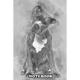 Notebook: American Staffordshire Terrier Puppy 4 Months Old Sitti , Journal for Writing, College Ruled Size 6" x 9", 110 Pages