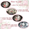 ProBytes Egg Timer - Colour Changing Indicator, Soft-Medium-Hard Perfect Boiled