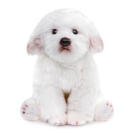 lilizzhoumax Simulation maltese Dog Plush Toy 38cm/15”, Realistic Stuffed Animal Wild Dog Puppy Stuffed Animals, Cute Dog Plush Toy Soft Dog Plush Home Decoration Toys, Gift for Boys and Kids