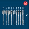 BOSCH SB0010 10-Piece Chisel-Point Spade Bit Assorted Set