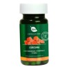 Cúrcuma Con Magnesio Vitamina C Fibra Blen Cápsulas Sabor Sin