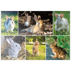 MyPuzzle Bunnies & Rabbits - Collage No. 2 - Premium 200 Piece Puzzle - MyPuzzle Special Collection by Starnberger Spiele