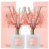 Cocorrína Premium Reed Diffuser Set with Preserved Baby's Breath &