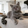 Cwyza Silver Cat Chain Collar with Removable Bell