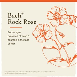 Bach Original Flower Remedies, Rock Rose for Courage (Non-Alcohol Formula), Natural Homeopathic Flower Essence, Holistic Wellness and Stress Relief, Vegan, 10mL Dropper