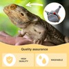 CQJ Beard Dragon Funny Cute Bullhorn Ball Hat with Neck