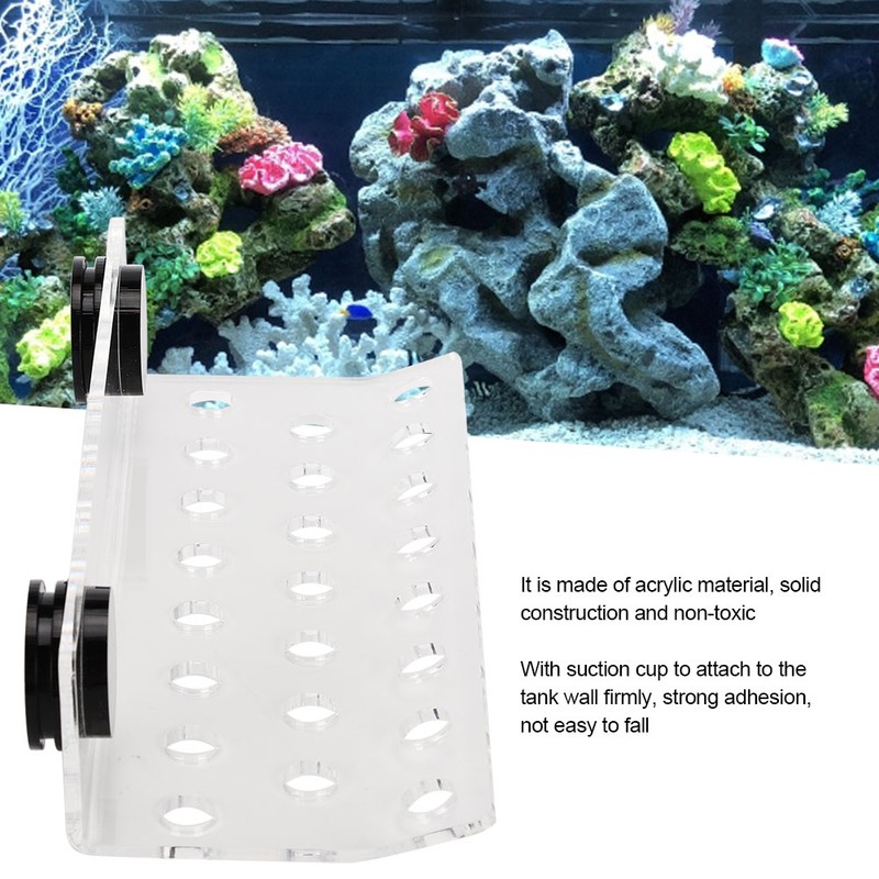 Aquarium Marine Coral Racks Bracket Holder Fish Tank Button Frame