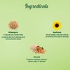Biotique Wheat Germ Firming Face and Body Cream for Normal
