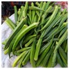 Everwilde Farms - 50 Organic Perkins Long Pod Okra Seeds