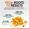 Turmeric Curcumin Supplement 2000mg - Nature's Joint & Immune Support,
