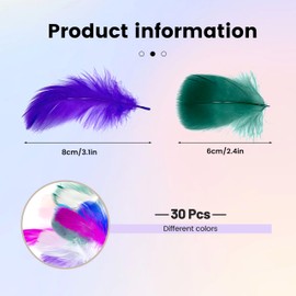 400pcs Feathers for Crafting，Craft Feathers，Feather，Craft Supplies，Feathers for Crafts