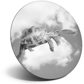 Destination Vinyl ltd Magnet for Refrigerator, Fridge BW - Cute Frisbee Turtle Funny Animal Pets for Office, Cabinet and Whiteboard, Magnetic Stickers, 40999