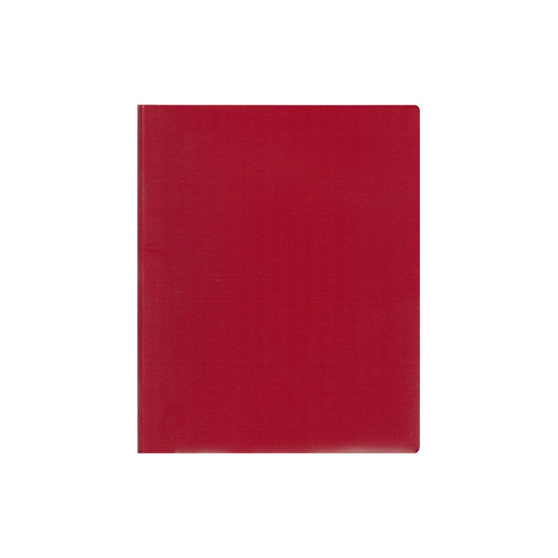 León 2-Pocket Carpeta de plástico con sujetadores, 1 carpeta, paquete