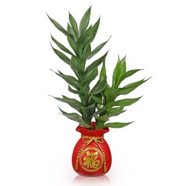Artificial Potted Plants Indoor Home Decor 22" Tall Fake Lucky Bamboo Plant in Plastic Pot with "Fu" Word Faux Potted Plants Indoor for Tabletop, Office, Shelf, Zen Room, Chinoiserie New Year Decor