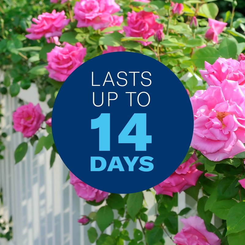 BioAdvanced All-in-One Rose & Flower Plant Care, Ready-to-Use, 24 oz,