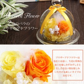 TEATSIGHT Preserved Flower Arrangement, Wrapped, In a Glass Pot, 2 Flowers