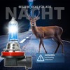 Recambo H11 Halogenlampen 12V 55W - 5500K Xenon-Look - Superweißes