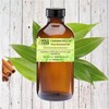 Wild Herb Cinnamon Leaf Pure Essential Oil (1 OZ)
