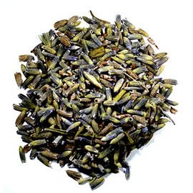 Nelson's Tea, Lavender (Lavendula x intermedia) (1 oz.)