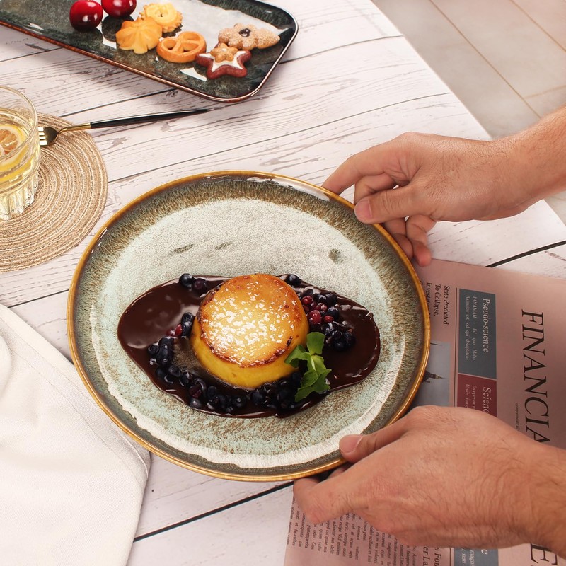 jinsongdafa Ceramic Dinner Plates Dish Set,Set of 4,for Lunch snacks