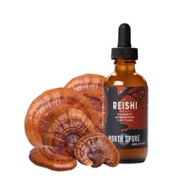 North Spore Reishi Mushroom Extract Tincture | Liquid Wellness Drops for Focus, Calm, Immune Functions | High Potency Organic Ganoderma lucidum, 100% Fruiting Bodies | Non-GMO, Vegan - 2oz
