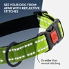 CollarDirect Reflective Dog Collar for Small Medium Large Dog Puppy