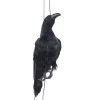 Etistta 17 inch Realistic Hanging Dead Crows Decoy Lifesize Extra