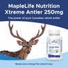 Maplelife Xtreme Antler 250mg 30 capsules