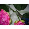 Plastic Artificial Lotus Flower Stick 40" Long