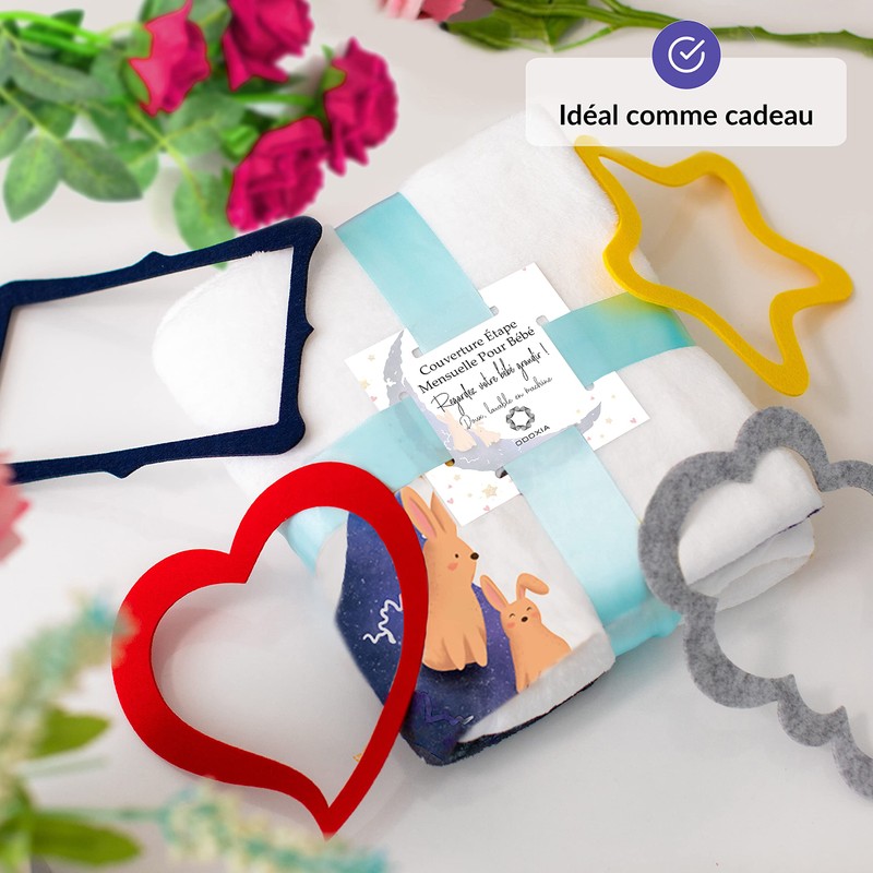 Milestone Blanket Moon French (Moon)