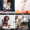 Pet Training Bell, Red and Black, Paw Print Design, Desktop