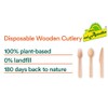 nalAmudhu Disposable Wooden Spoon | Eco Friendly, Biodegradable, Compostable, Eco-Friendly