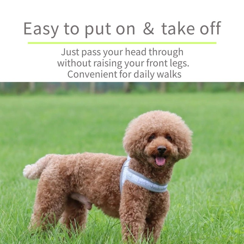 Hakusan Just Fit Dragon Harness Aloha Mesh (Ocean Blue Aloha,