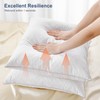 Lewondr 22x22 inch Pillow Insert Set of 2, Down and